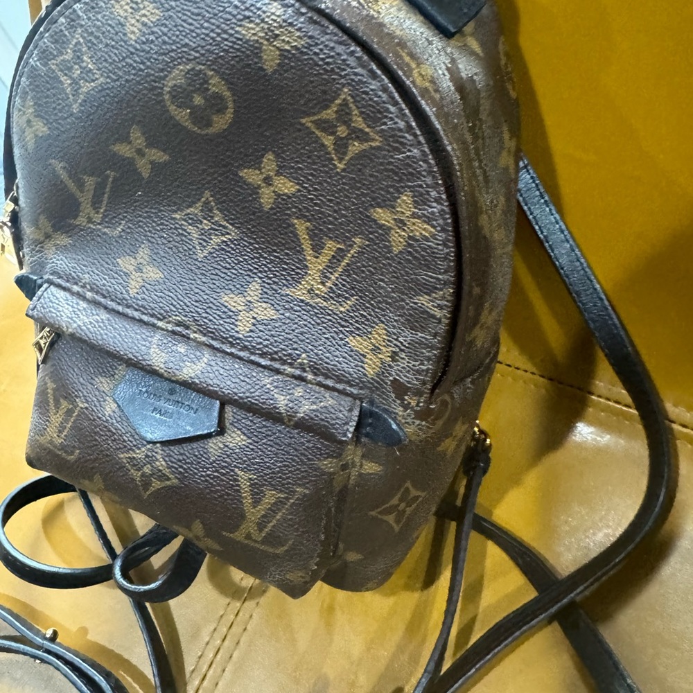 Louis Vuitton Monogrammed Palm Springs mini back pack - Picture 6 of 16